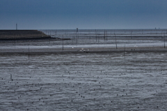 干拓堤防内と外