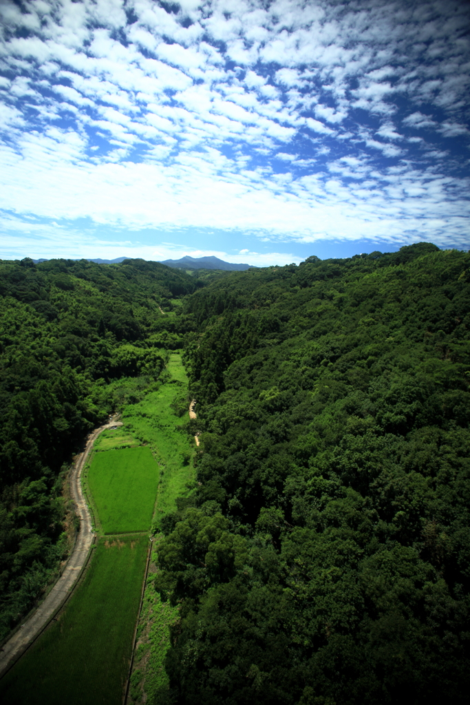 オレンジロードから