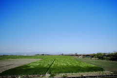 干拓堤防内と外