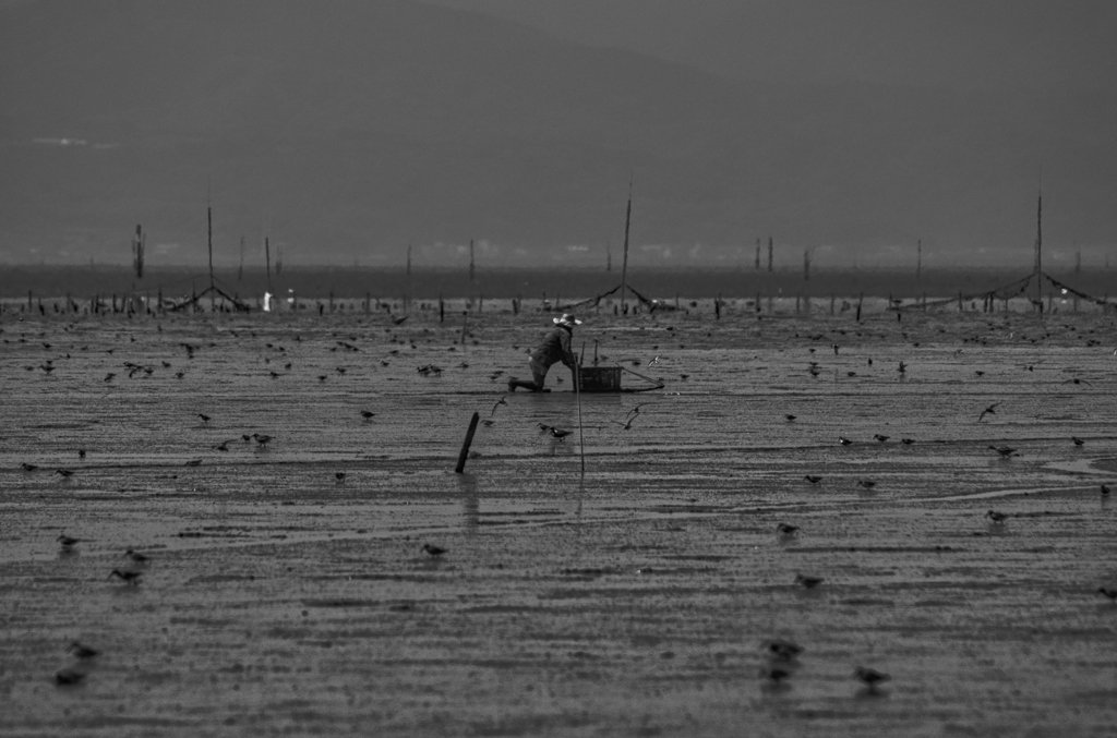 干拓堤防内と外