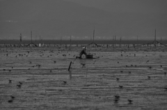 干拓堤防内と外