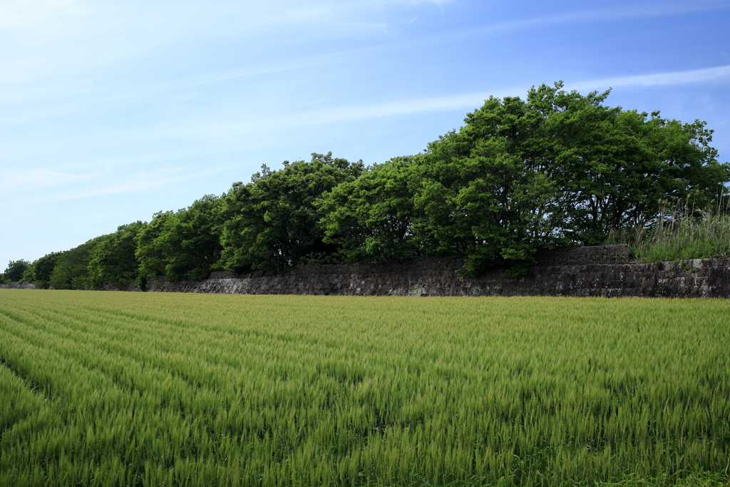 海岸堤防内と外