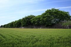 海岸堤防内と外