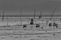 干拓堤防内と外