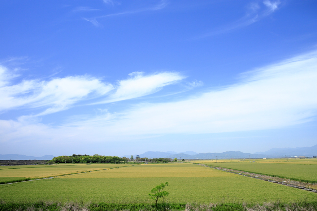 海岸堤防内と外