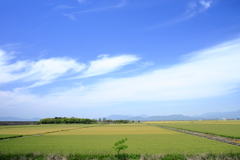海岸堤防内と外