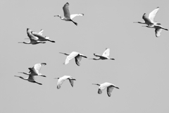 海岸堤防内と外