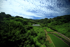 オレンジロードから