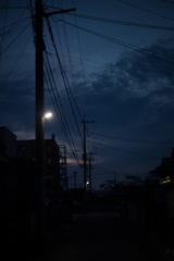 犬と散歩その道すがら