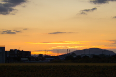 犬と散歩その道すがら