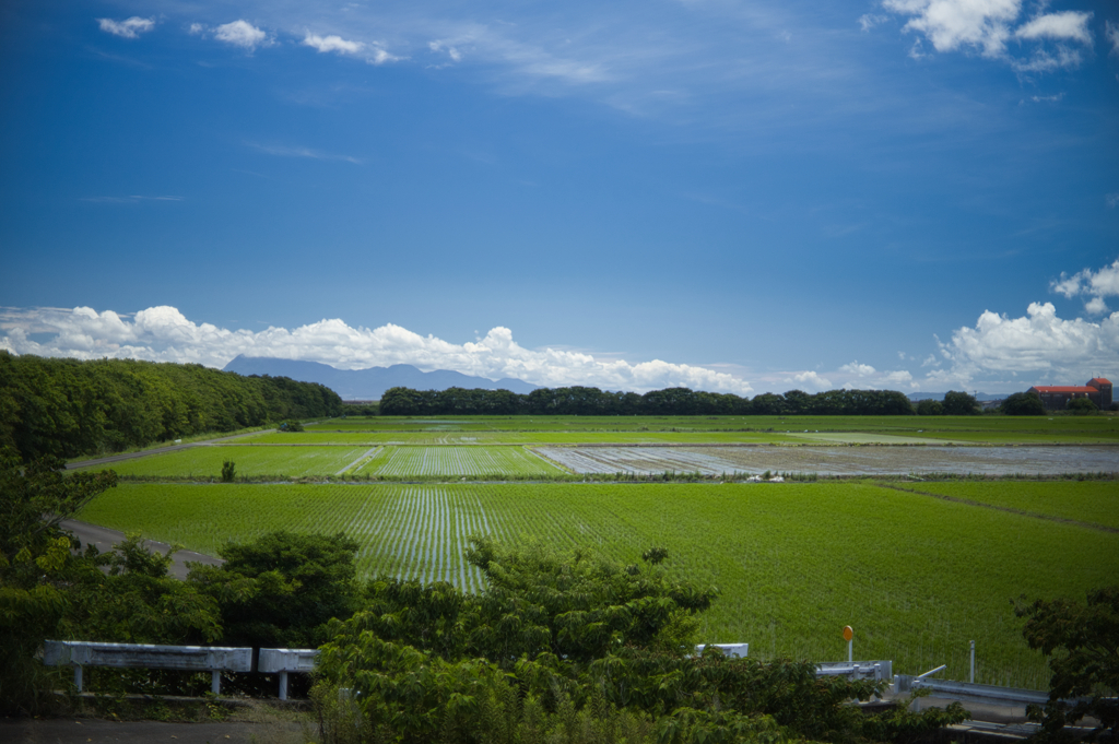 干拓堤防内と外