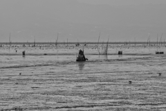 干拓堤防内と外