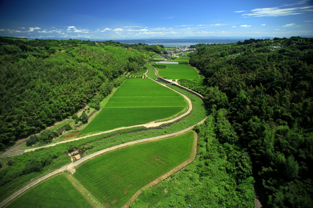 オレンジロードから