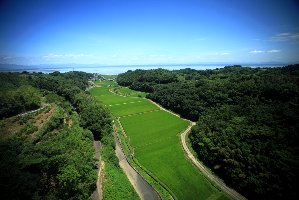 オレンジロードから