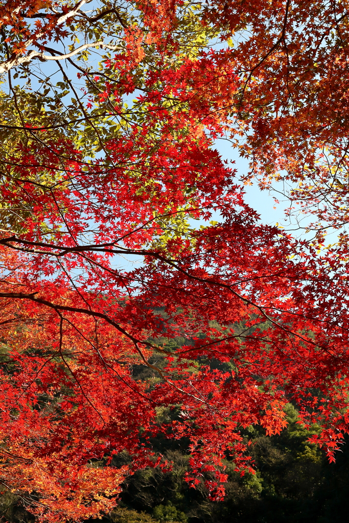 雄淵雌淵公園