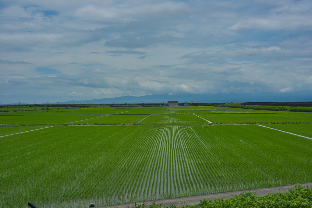 干拓堤防内と外