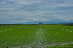 干拓堤防内と外
