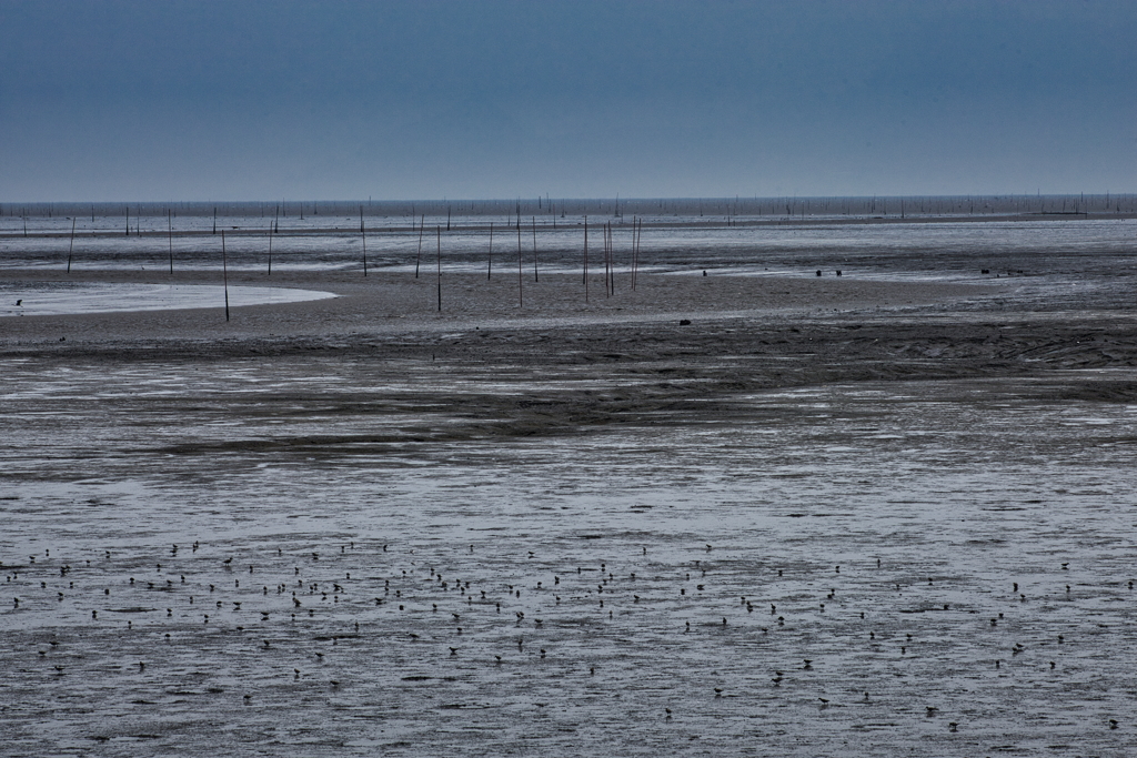 干拓堤防内と外