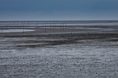 干拓堤防内と外