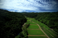 オレンジロードから