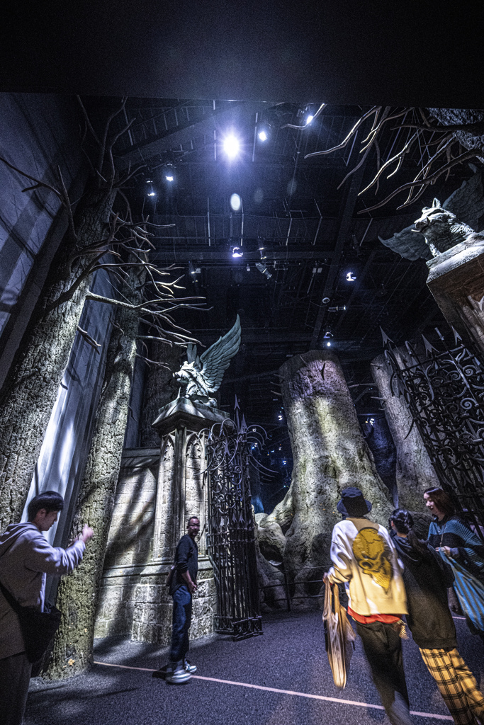 20250323ハリーポッター５