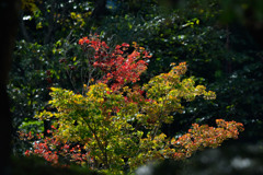 _DSC2861-6