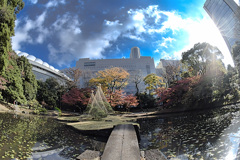 ビル群の中の紅葉