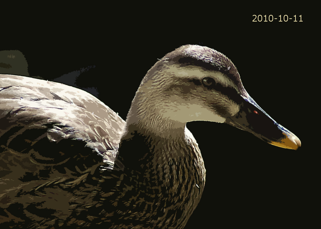 20101011A