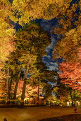 20251129大田黒5HDR