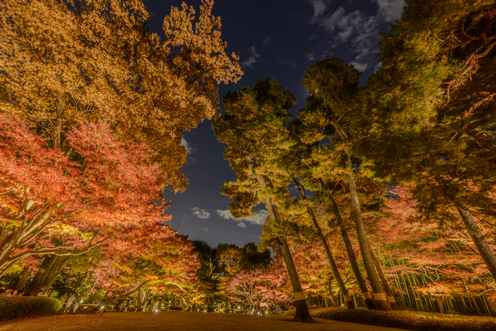 20251129大田黒6HDR