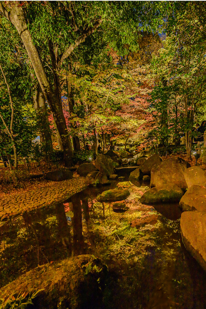 20251129大田黒4HDR