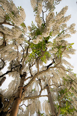 _DSC3760 編集済み 1
