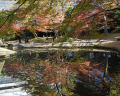 ビル群の中の紅葉２