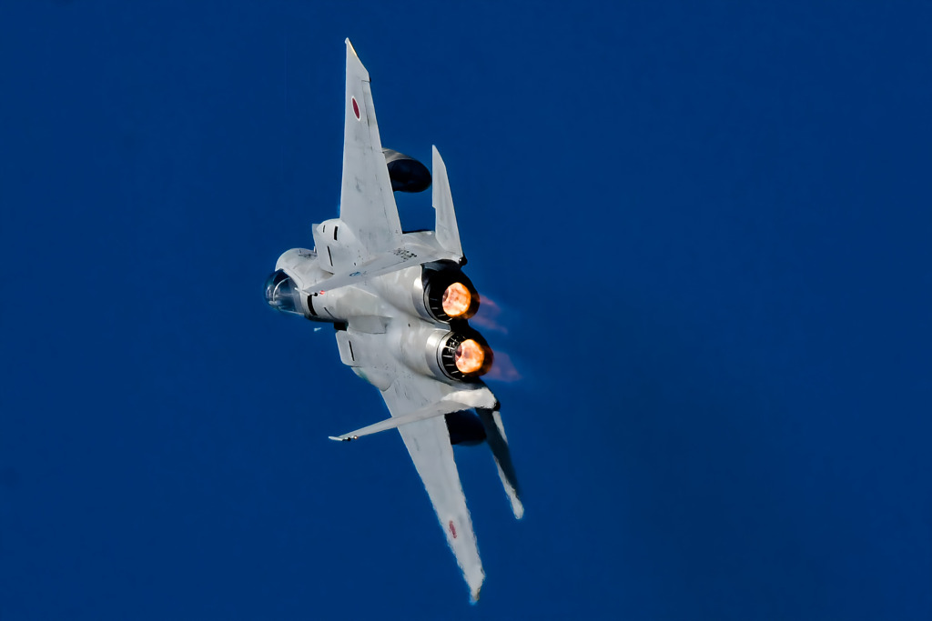 _DSC4117-10 編集済み 1