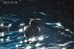 20220528A