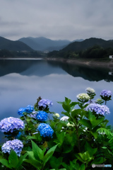 2019赤谷湖１