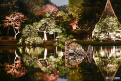 2022六義園３