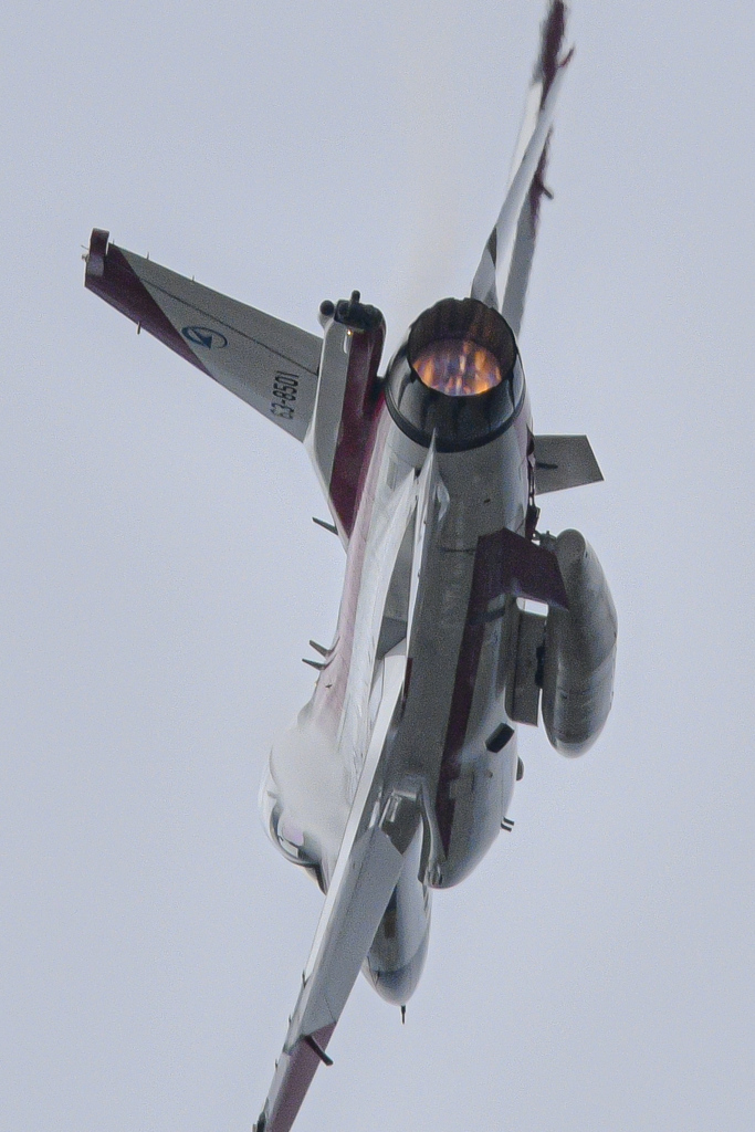 2024浜松航空祭_9
