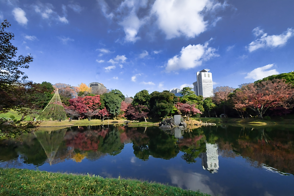 大都会の紅葉　後楽園４