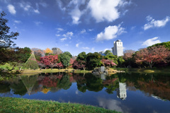 大都会の紅葉　後楽園４