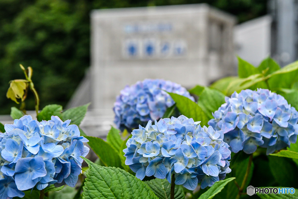 2019赤谷湖２