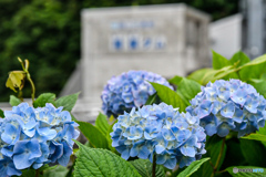 2019赤谷湖２