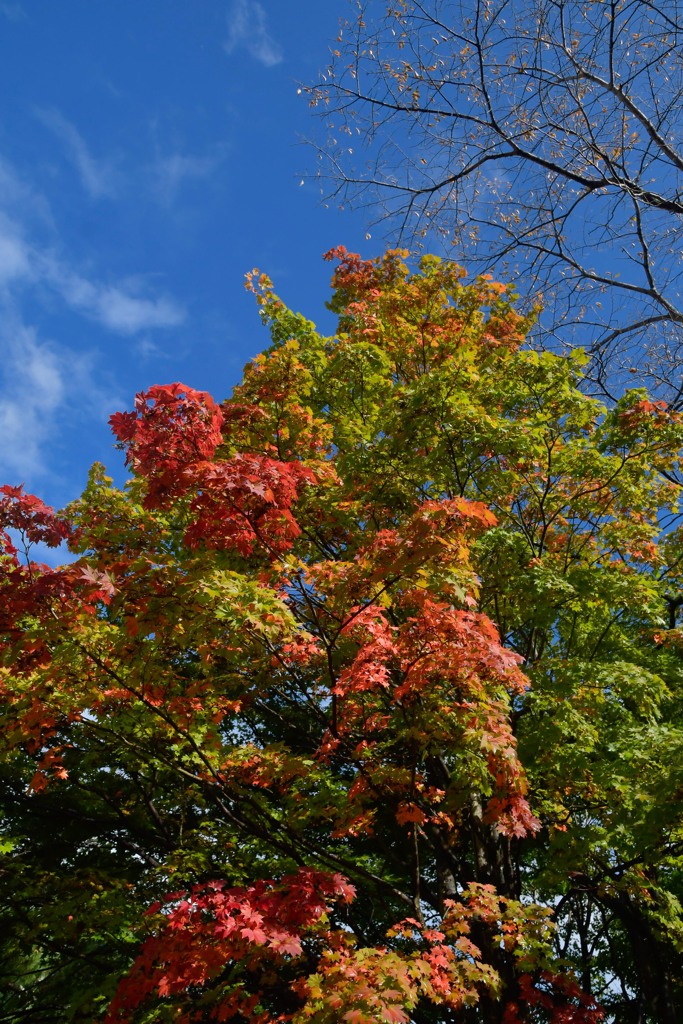 _DSC3058-21
