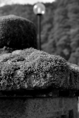 _DSC2853-5