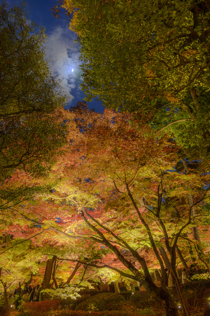 20251129大田黒HDR