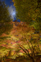 20251129大田黒HDR