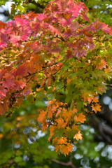 _DSC3044-19