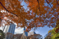 ビル群の中の紅葉４