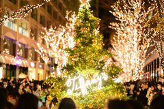 東京駅 クリスマスツリー