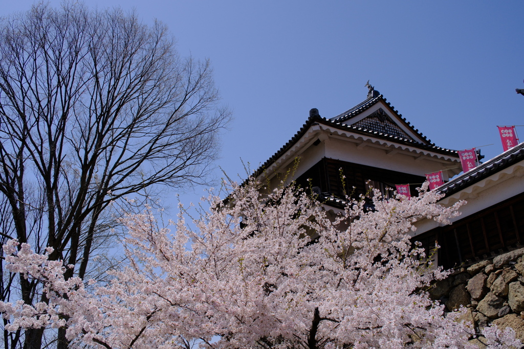 城　青空　さくら